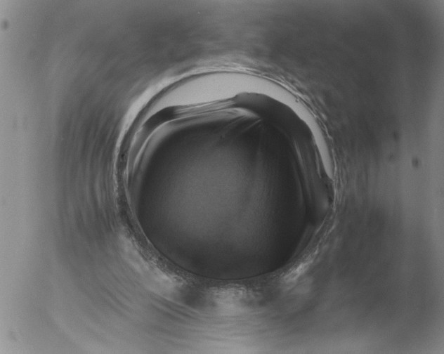 X0000053050200200508011856