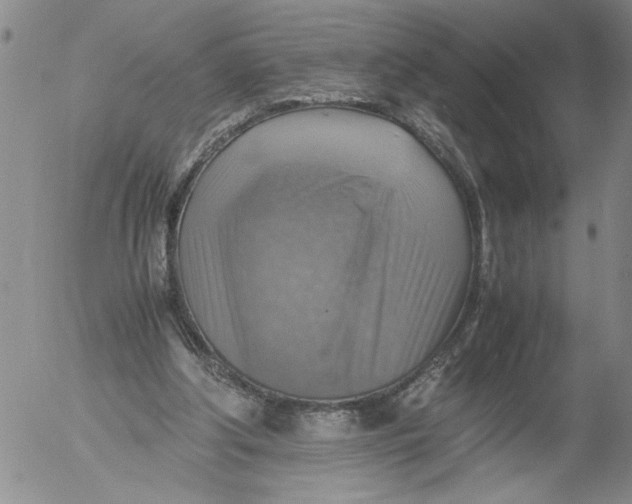 X0000053050202200508011856