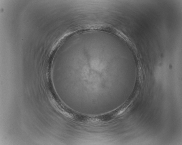 X0000053050203200508011856