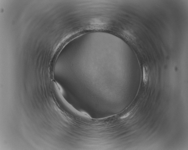 X0000053050204200508011856