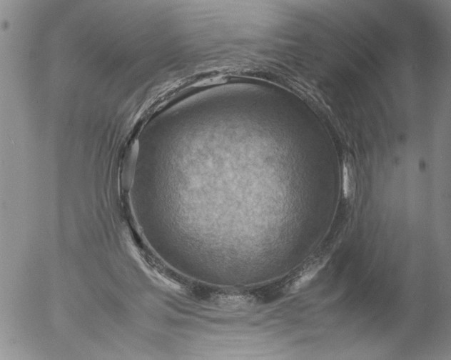 X0000053050205200508011856