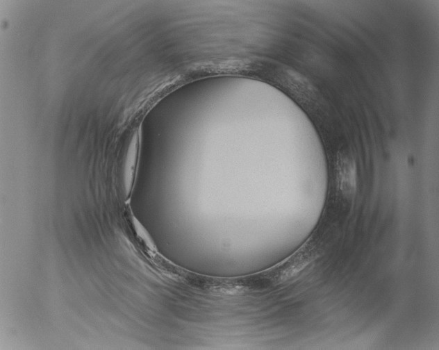 X0000053050206200508011856