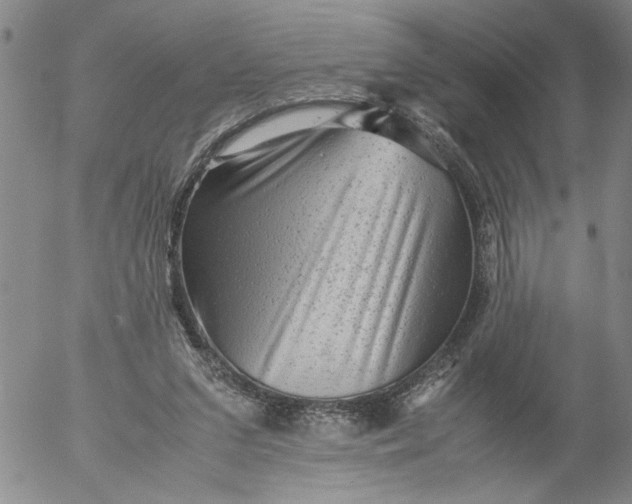 X0000053050207200508011856