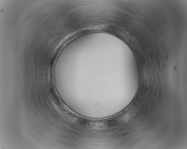 X0000053050208200508011856