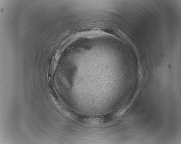 X0000053050209200508011856