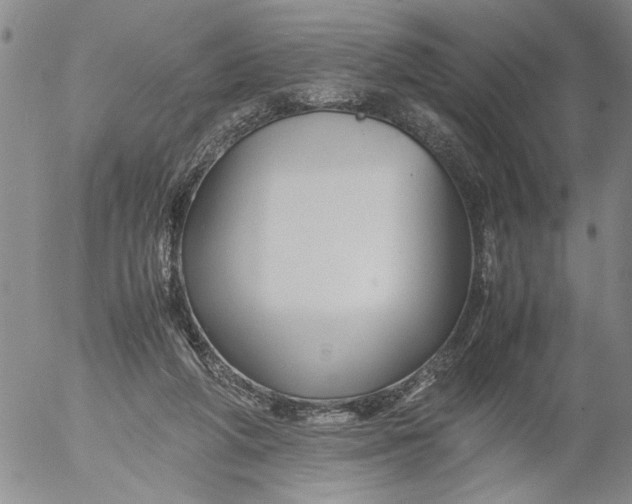 X0000053050210200508011856