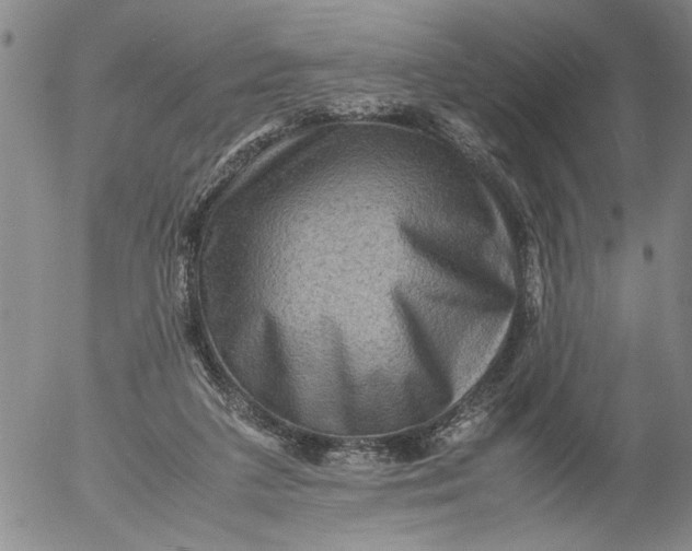 X0000053050211200508011856