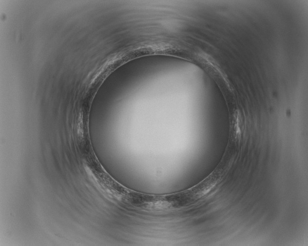 X0000053050212200508011856