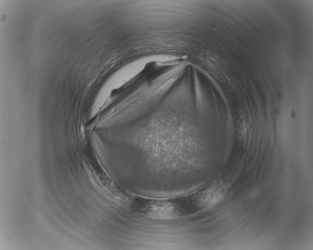 X0000053050214200508011856