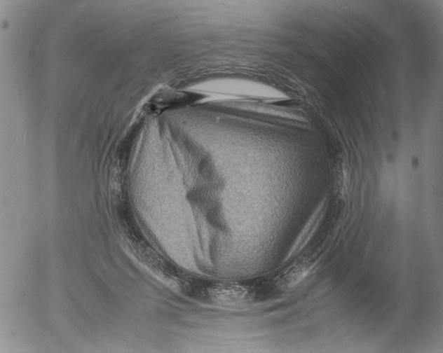 X0000053050215200508011856