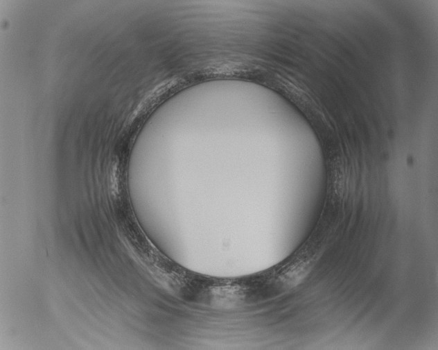 X0000053050216200508011856