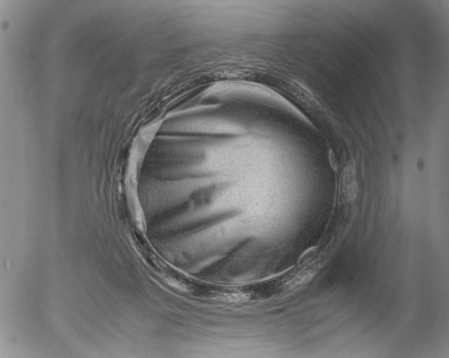 X0000053050217200508011856