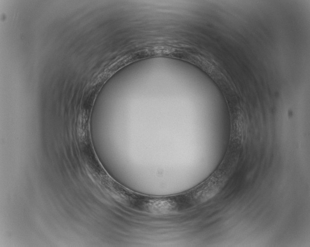 X0000053050218200508011856