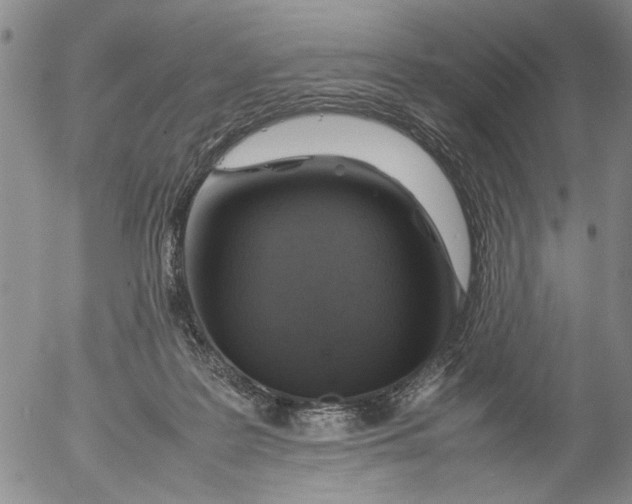 X0000053050219200508011856