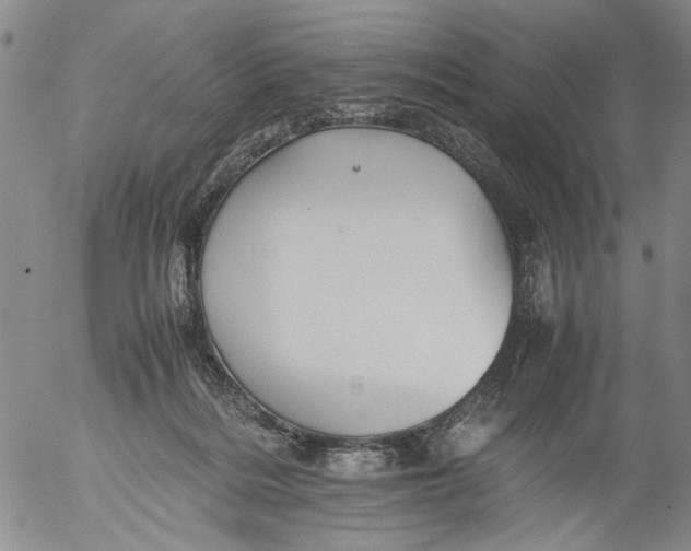 X0000053050220200508011856