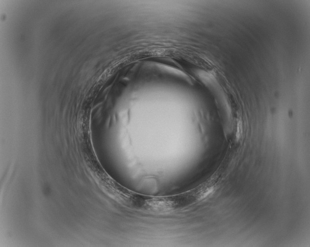 X0000053050221200508011856