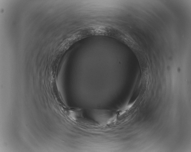 X0000053050223200508011856