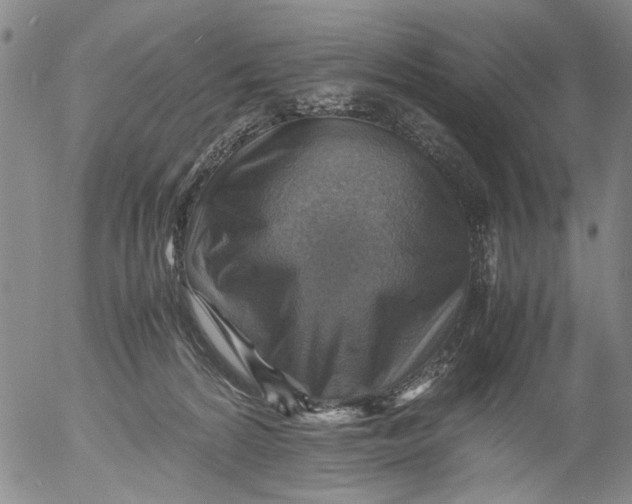 X0000053050224200508011856