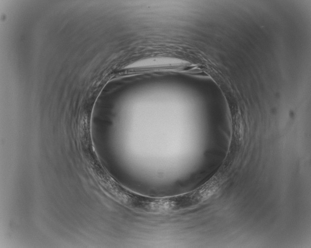 X0000053050225200508011856