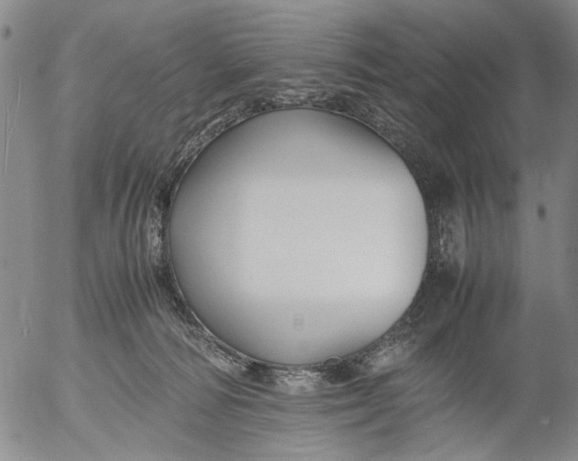 X0000053050226200508011856