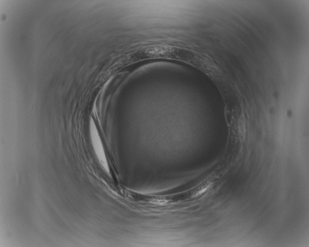 X0000053050227200508011856