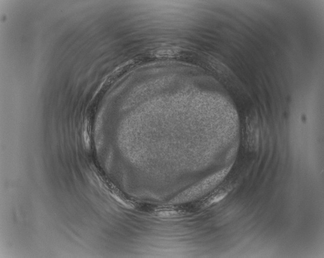 X0000053050228200508011856