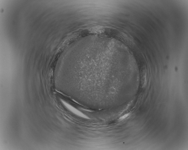 X0000053050229200508011856