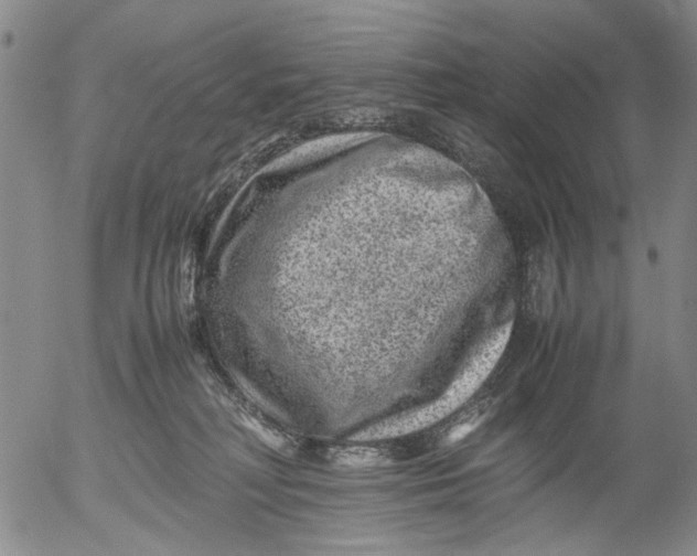 X0000053050230200508011856