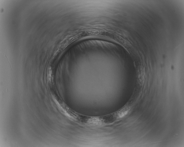 X0000053050231200508011856