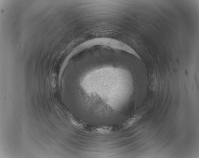 X0000053050232200508011856