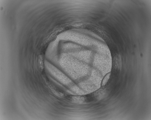 X0000053050234200508011856