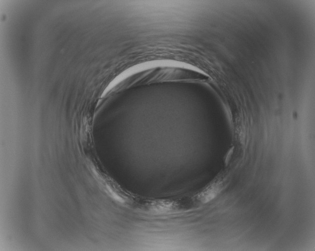 X0000053050235200508011856