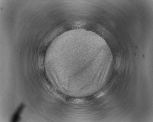 X0000053050236200508011856