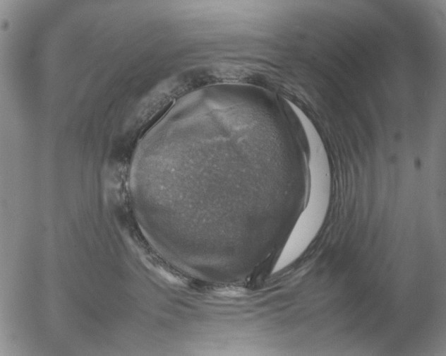 X0000053050237200508011856