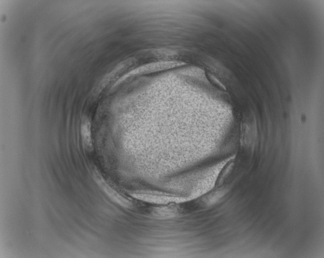 X0000053050238200508011856