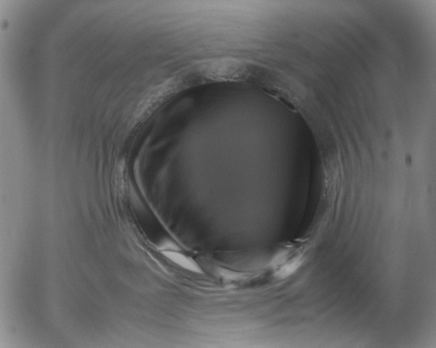 X0000053050239200508011856