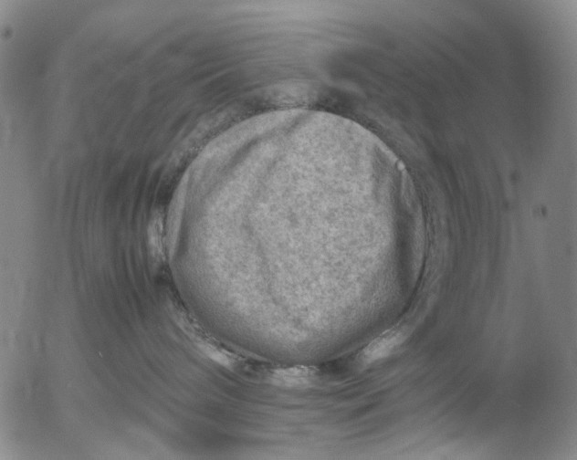 X0000053050240200508011856