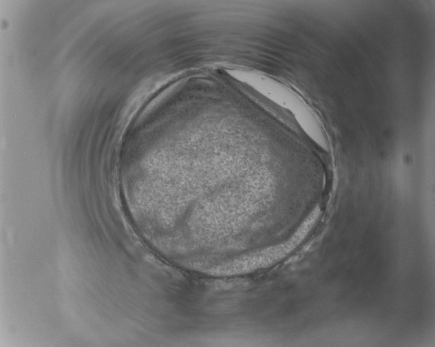 X0000053050241200508011855