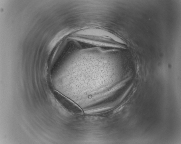 X0000053050242200508011855