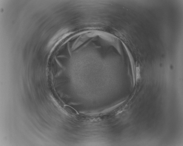 X0000053050243200508011855