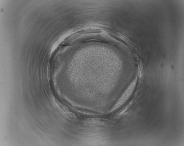 X0000053050244200508011855