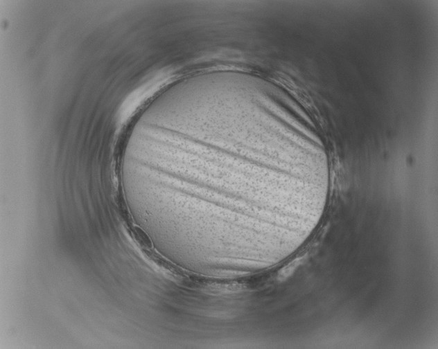 X0000053050245200508011855