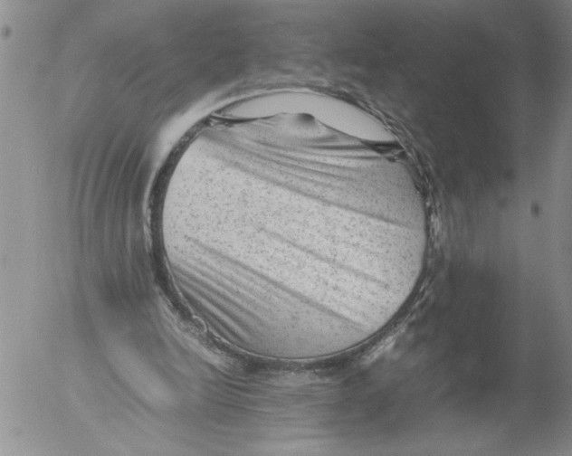 X0000053050246200508011855