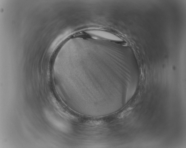 X0000053050247200508011855