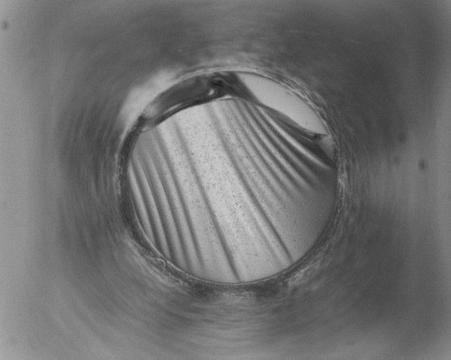 X0000053050248200508011855