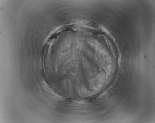 X0000053050249200508011855