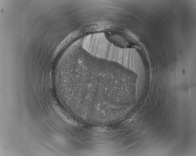 X0000053050250200508011855