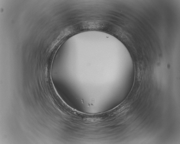 X0000053050251200508011855