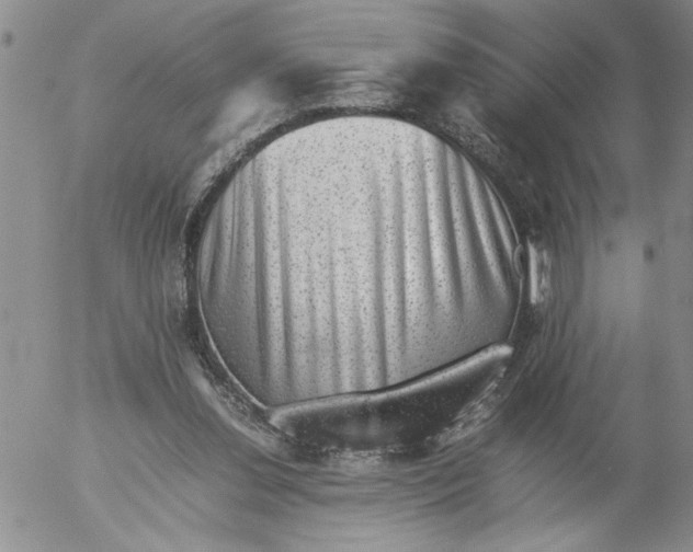 X0000053050252200508011855