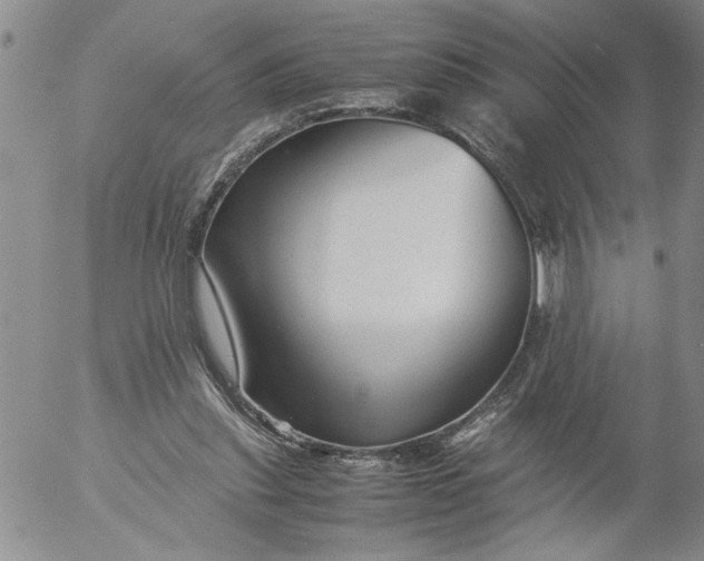 X0000053050253200508011855